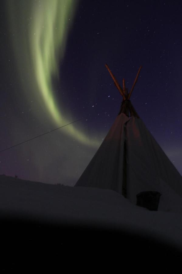 Lofoten Camp ستامسوند المظهر الخارجي الصورة